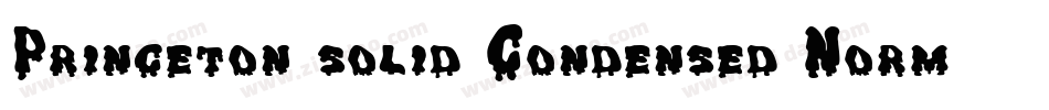 Princeton solid Condensed Normal字体转换